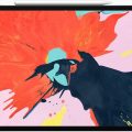 Все больше владельцев планшетов iPad Pro (2017 и 2018) жалуются на проблему с замиранием экрана - 1