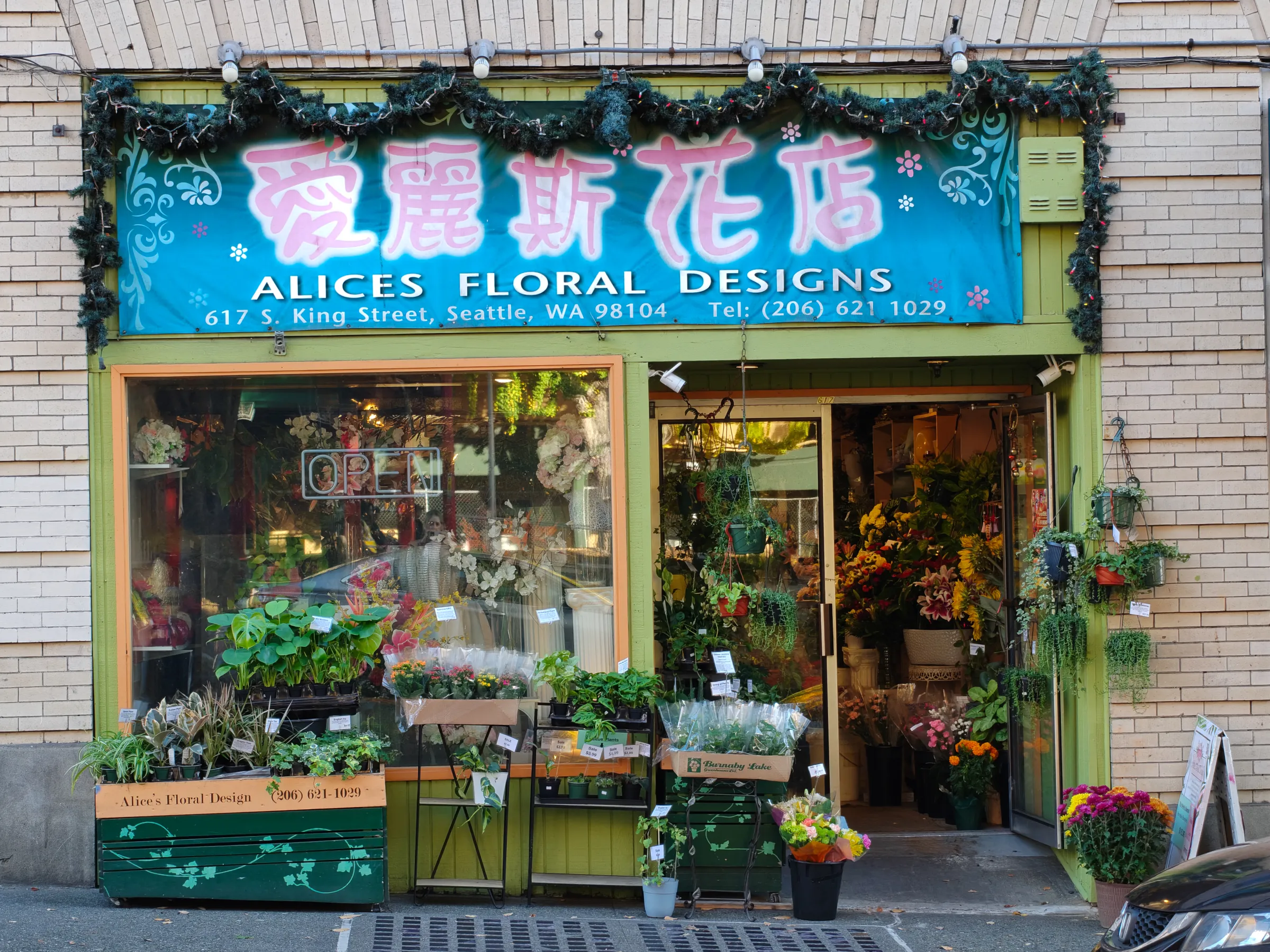 Фото с OnePlus 15