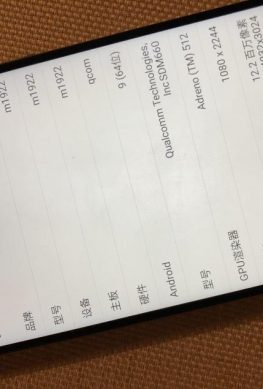 Смартфон Meizu Note 9 Lite в рабочем состоянии позирует на первом фото. Результат в AnTuTu
