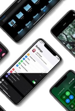 iPhone SE 2 поможет Apple. Продажи смартфонов компании вырастут за счёт этой модели и iPhone 11