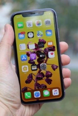Популярность iPhone 11 позволила Apple увеличить поставки смартфонов в Китае