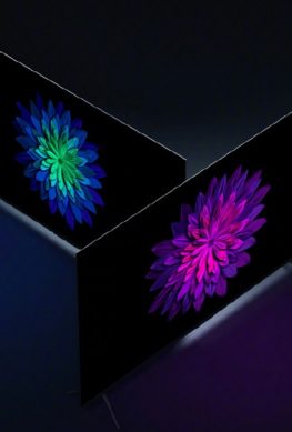 Телевизоры Xiaomi Mi TV 5 размером 75