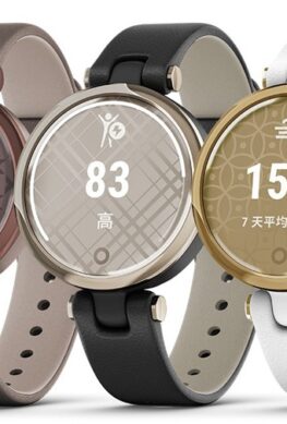 Дамские смарт-часы Garmin Lily выйдут в трех версиях стоимостью от €199