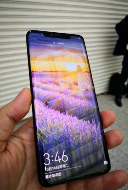 Не LG и не Samsung: флагманский смартфон Huawei Mate 20 Pro оснащается OLED-экранами китайской компании BOE