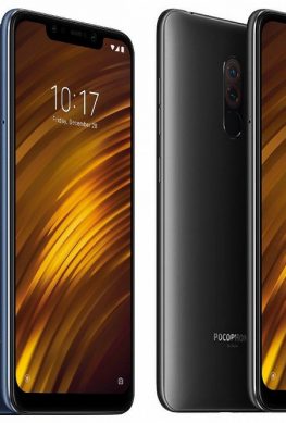 Pocophone-f1-g_large