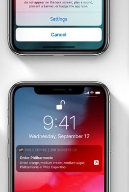 iOS 12